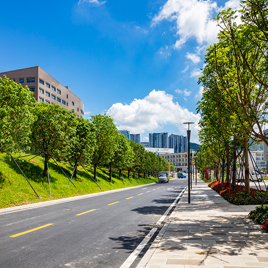 深圳大学西丽校区建设工程（二期）项目园林绿化工程